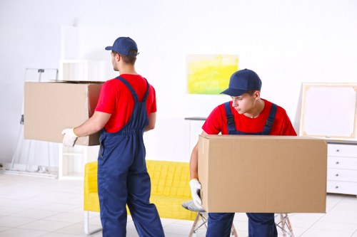 Accessible Man and Van Brentcross page introduction