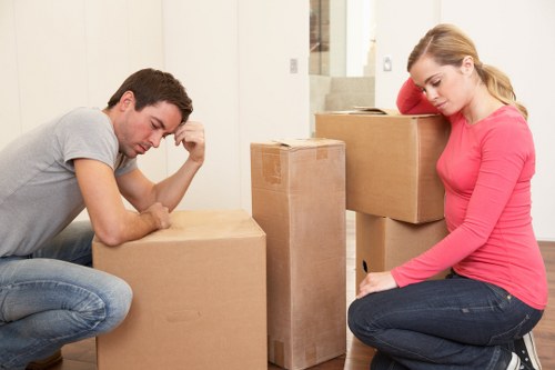 Professional van service in Brentcross for business and household transport